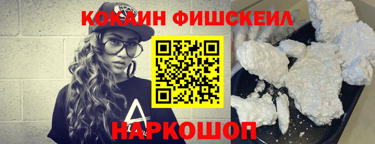 COCAIN Columbia  Вход с VPN  Саранск  COCAIN Fish Scale 