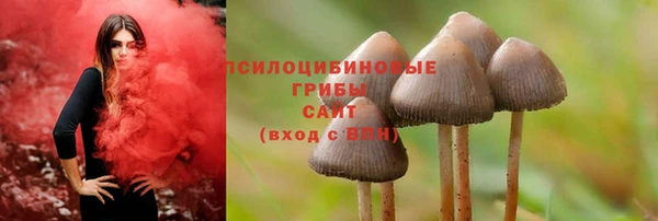 скорость Абаза