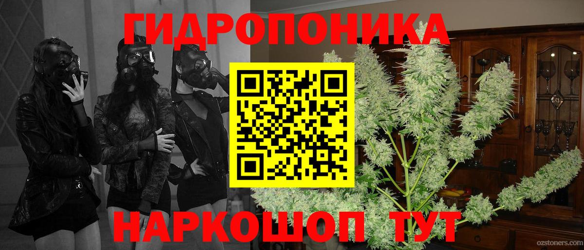 Бошки Шишки план Саранск